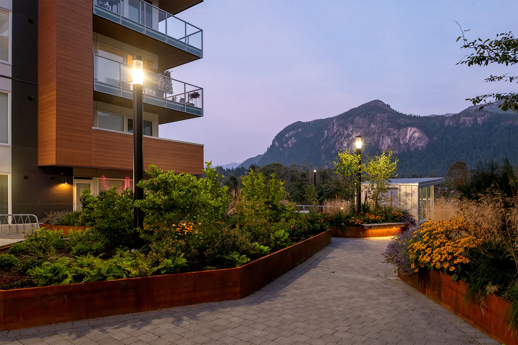 Twilight rooftop pathway lined with tall black bollard lights, linear LED in corten planters with native plants and flowers, wood-clad buildings, and mountain backdrop