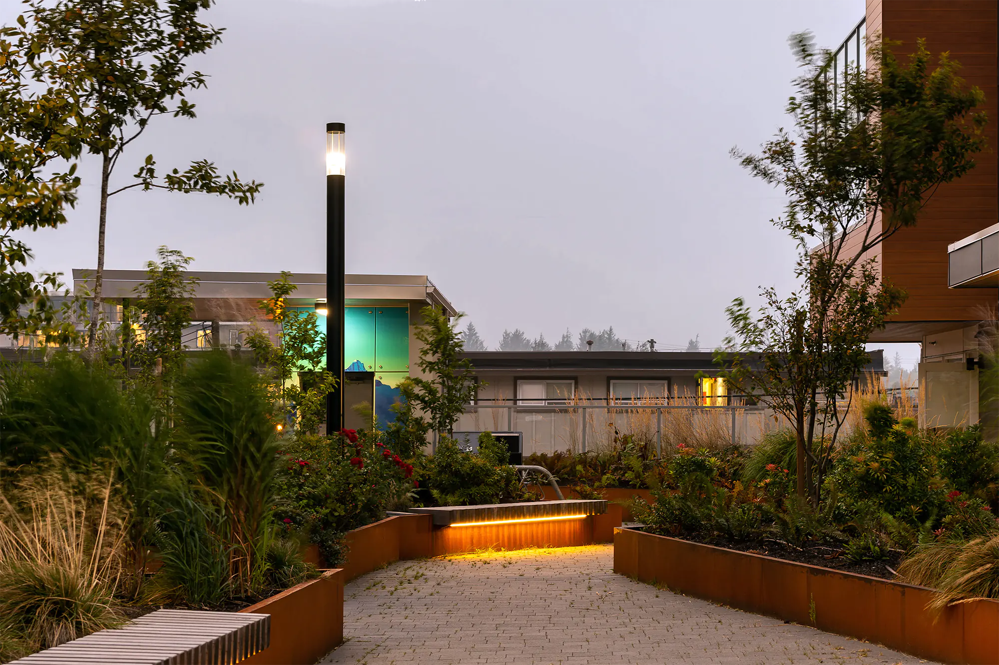 Contemporary courtyard featuring tall black bollard light, linear LED in corten planters, backlit colorful glass panels, and lush native landscaping at twilight